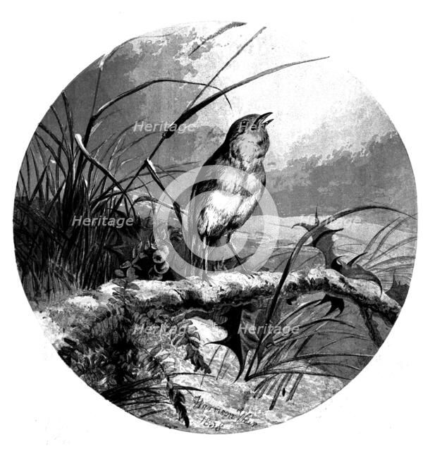 The Christmas Carol Singer - from a painting by Harrison Weir, 1858. Creator: Harrison Weir.