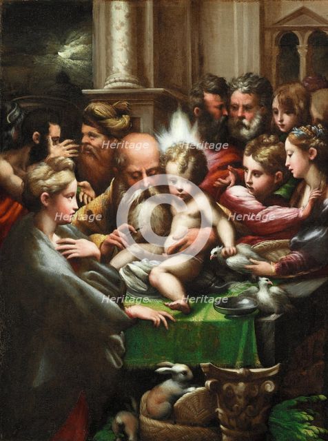 The Circumcision, c1523. Creator: Parmigianino.