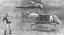 'The Circus at Covent Garden Theatre with the Lion going through his performance 1890. Creator: Unknown