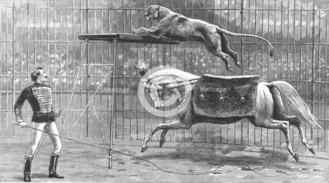 ''The Circus at Covent Garden Theatre with the Lion going through his performance', 1890. Creator: Unknown.