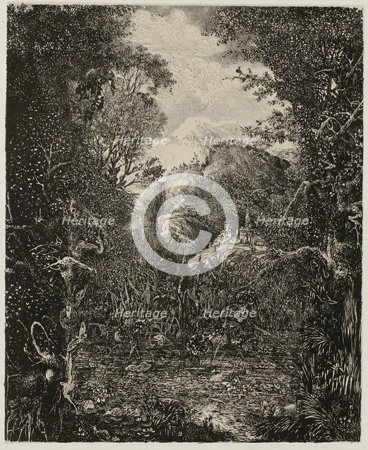The Cities beyond the Marsh, 1868. Creator: Rodolphe Bresdin.