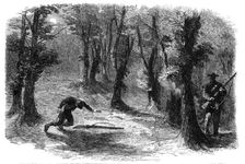 The Civil War in America: how the outlying sentries of the Federal Army are killed by..., 1861. Creator: Unknown