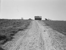 The Cleaver home, Malheur County, Oregon, 1939. Creator: Dorothea Lange