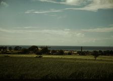 The coast of St. Thomas? Virgin Islands, 1941. Creator: Jack Delano