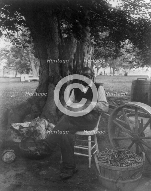 The cook at Marshall Hall, seated outdoors, shelling peas?, c1890. Creator: Frances Benjamin Johnston.