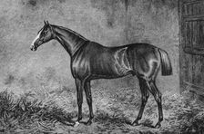 The Colonel 1825-1847, (1911)