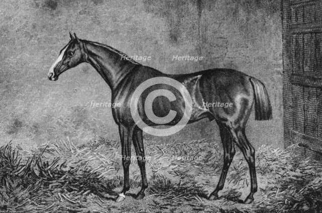 'The Colonel', 1825-1847, (1911). Artist: Unknown.