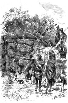 The Colonial and Indian Exhibition; The Forest Scene, Victorian Court 1886. Creator: Unknown