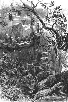 The Colonial Exhibition: India, The Jungle 1886. Creator: Unknown