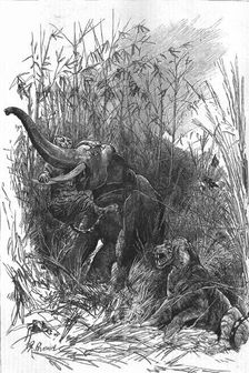 The Colonial Exhibition: India: The Trophy of Kooch Behar 1886. Creator: Unknown