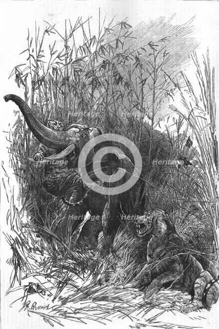 'The Colonial Exhibition: India: The Trophy of Kooch Behar', 1886.  Creator: Unknown.