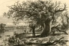 The Connecticut, above Middletown 1874. Creator: James L. Langridge