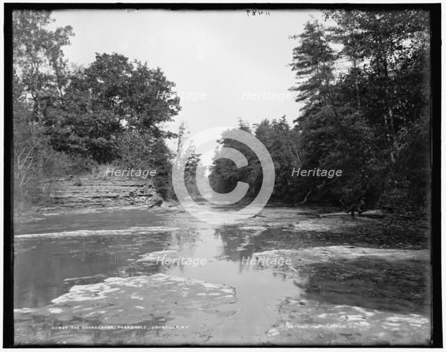 The Conaseraga i.e. Canaseraga, Poagshole, Dansville, N.Y., between 1890 and 1901. Creator: Unknown.