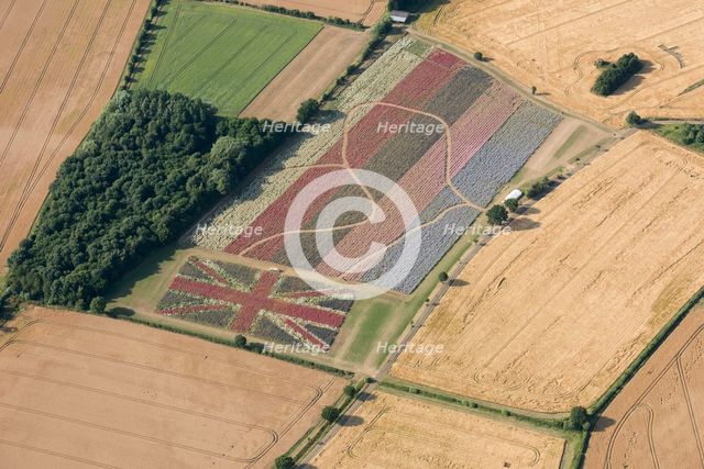The Confetti Flower Field and Union Jack commemorative field, Worcestershire, 2017. Creator: Damian Grady.