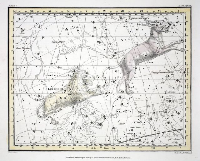 The Constellations (Plate V) Lynx, Leo Minor, 1822.