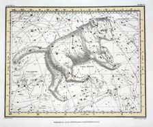 The Constellations (Plate VI) Ursa Major, from A Celestial Atlas by Alexander Jamieson, 1822