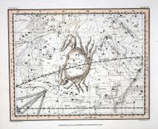 The Constellations (Plate XVI) Cancer, 1822