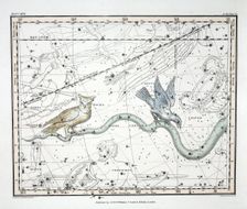 The Constellations (Plate XXVII) Hydra Continua, Crater, Covus, Centaurus et Lupus, 1822