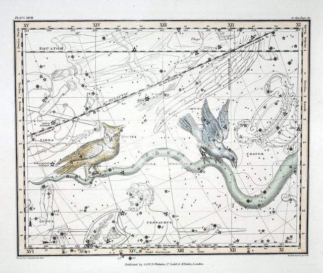 The Constellations (Plate XXVII) Hydra Continua, Crater, Covus, Centaurus et Lupus, 1822.