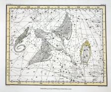The Constellations (Plate XI) Cygnus, Lacerta and Via Lactea, 1822