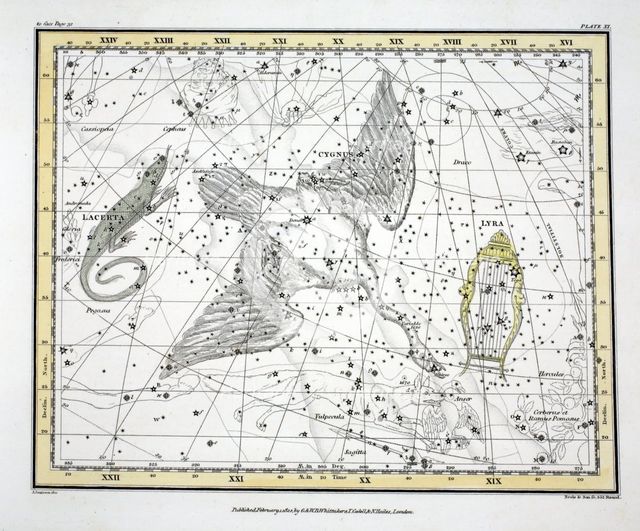 The Constellations (Plate XI) Cygnus, Lacerta and Via Lactea, 1822.