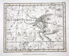 The Constellations (Plate XIV)Taurus, 1822