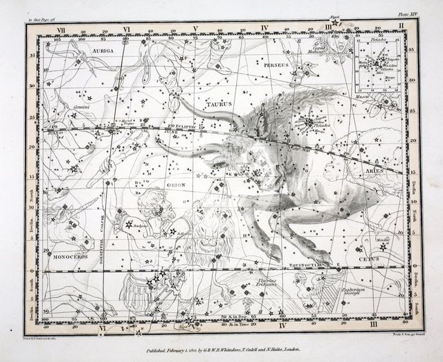 The Constellations (Plate XIV)Taurus, 1822.