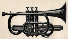 The Cornet 1910. Creator: Unknown