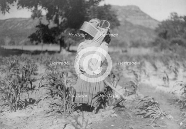 The cornfield, c1906. Creator: Edward Sheriff Curtis.