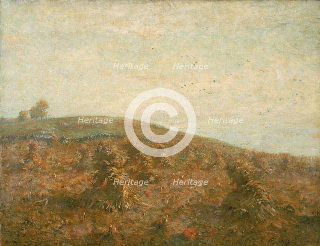 The Cornfield. Creator: Henry Ward Ranger.