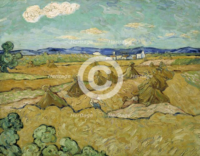 The Cornshocks. Creator: Anon.