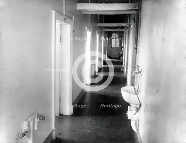 The corridor with washbasins in the special clinic for animals in the Physiology Department..., 1904 Creator: Unknown.