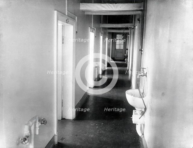 The corridor with washbasins in the special clinic for animals in the Physiology Department..., 1904 Creator: Unknown.