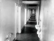The corridor with washbasins in the special clinic for animals in the Physiology Department..., 1904 Creator: Unknown
