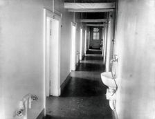 The corridor with washbasins in the special clinic for animals in the Physiology Department..., 1904 Creator: Unknown