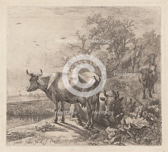 The Cowherd, 1643 (printed 1868?). Creator: Paulus Potter.