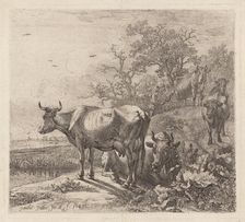 The Cowherd, 1643 (printed 1868?). Creator: Paulus Potter