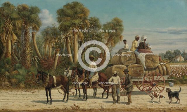 The Cotton Wagon, 1880s.