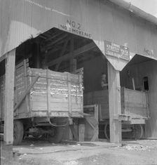 The cotton gin near Robstown, Texas, 1936. Creator: Dorothea Lange