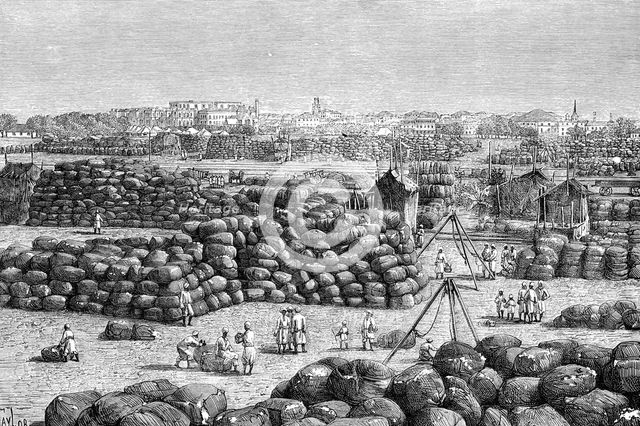 The cotton market at Bombay, India, 1895. Artist: Unknown