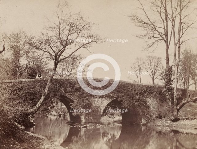 The Country Bridge (Staplylton Bridge, Bristol), c. 1854- 1857. Creator: John Dillwyn Llewelyn (British, 1810-1882).