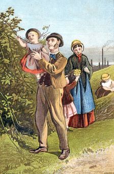 The Country Walk c1880