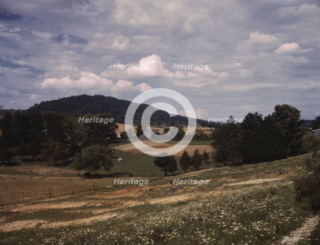 The countryside near the Tennessee Valley Authority dam site, Douglas Dam vicinity, Tenn., 1942. Creator: Alfred T Palmer.