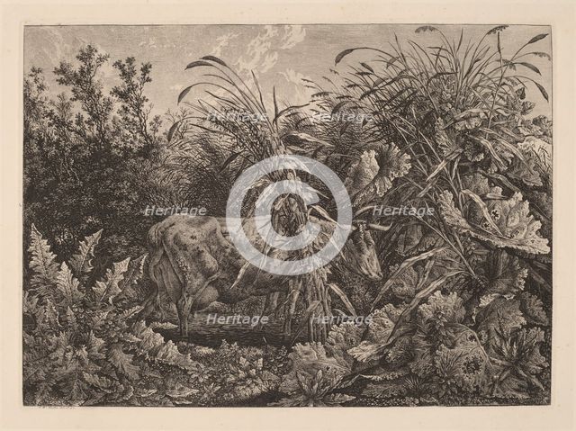 The Cow in the Swamp, 1800/1803. Creator: Carl Wilhelm Kolbe the elder.