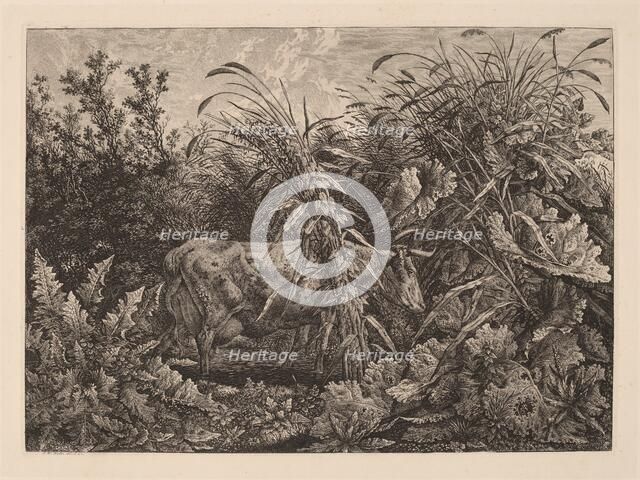 The Cow in the Swamp, 1800/1803. Creator: Carl Wilhelm Kolbe the elder.