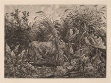 The Cow in the Swamp, 1800/1803. Creator: Carl Wilhelm Kolbe the elder