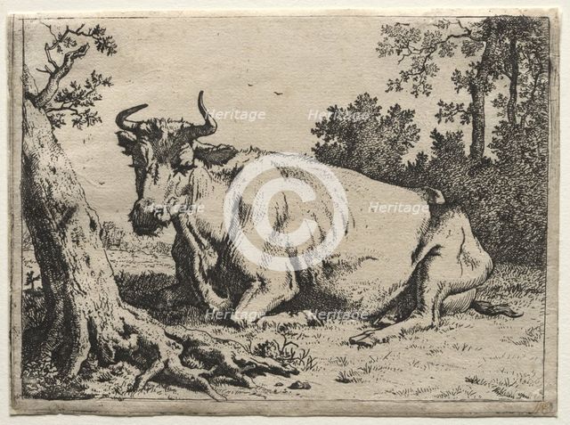 The cow lying down near a tree. Creator: Paulus Potter (Dutch, 1625-1654).