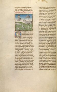 The Creation of Animals; Miroir Historial, about 1475. Creator: Unknown