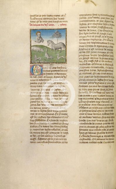 The Creation of Animals; Miroir Historial, about 1475. Creator: Unknown.