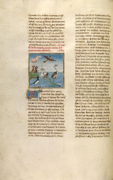 The Creation of Birds; Miroir Historial, about 1475. Creator: Unknown